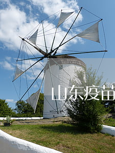 山东疫苗事件(山东疫苗事件死多少)