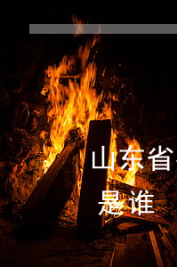 山东省有名的律师是哪些(山东最有名的律师是谁)
