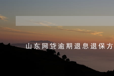 山东网贷逾期退息退保方法有哪些