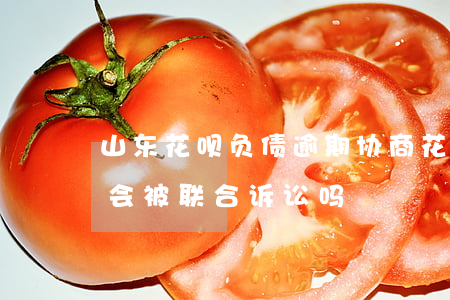 山东花呗负债逾期协商(花呗借呗网商贷逾期会被联合诉讼吗)