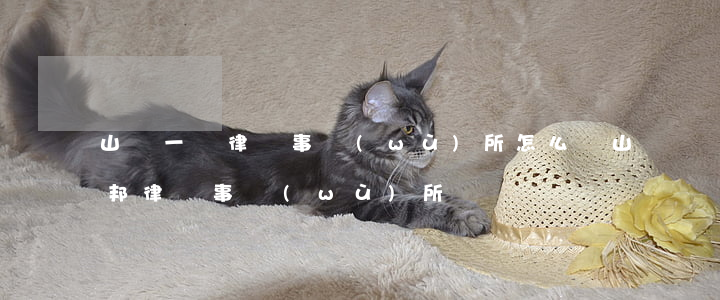 山東一諾律師事務(wù)所怎么樣(山東諾邦律師事務(wù)所)