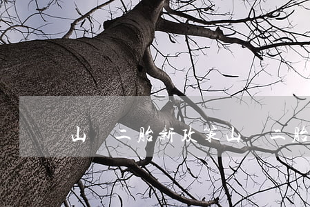山東二胎新政策(山東二胎新政策)