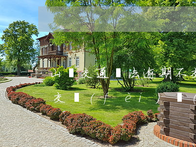 山東交通違法逾期不交(山東交通違法逾期不交費(fèi)會(huì)怎樣)