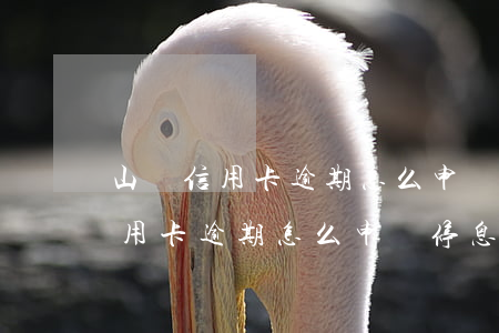 山東信用卡逾期怎么申請停息掛賬-山東信用卡逾期怎么申請停息掛賬的