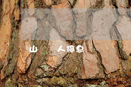 山東個人停息掛賬