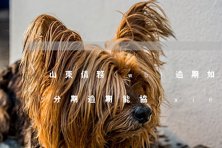 山東債務(wù)逾期如何協(xié)商分期(逾期能協(xié)商分期還款嗎)