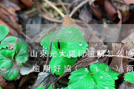 山東光大銀行逾期怎么協(xié)商(光大逾期好協(xié)商嗎)