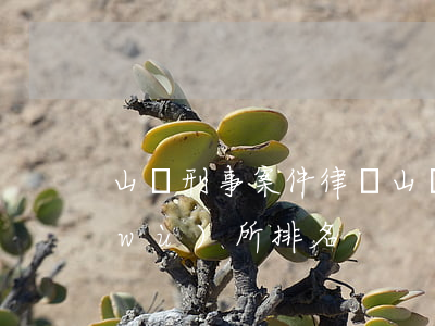 山東刑事案件律師(山東刑事案件律師事務(wù)所排名)
