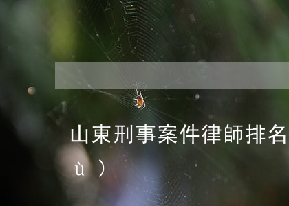 山東刑事案件律師排名(山東律師人數(shù))