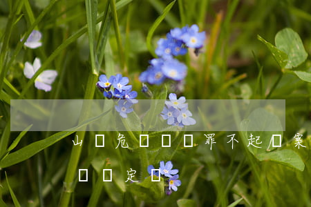 山東危險駕駛罪不起訴案例(危險駕駛罪不起訴決定書)