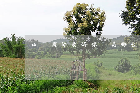 山東威海最好律師是哪位(威海十大名律師)