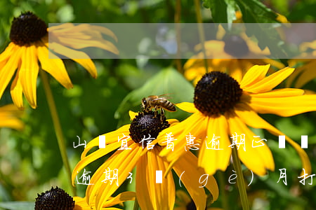 山東宜信普惠逾期正確處理方案-宜信普惠逾期3個(gè)月打電話到單位辦公室