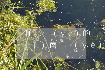山東專業(yè)的債務(wù)律師(濟(jì)南專業(yè)債權(quán)債務(wù)律師)