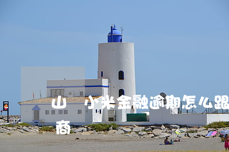 山東小米金融逾期怎么跟銀行協(xié)商