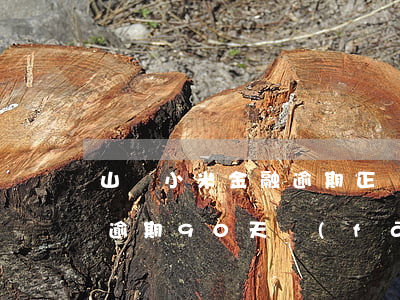 山東小米金融逾期正確處理方案-小米金融逾期90天發(fā)信息給我說要起訴我