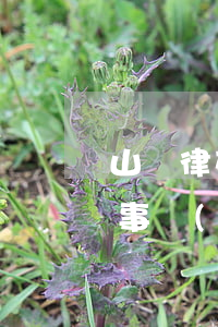 山東律苑律師事務(wù)所(山東律苑律師事務(wù)所招聘)