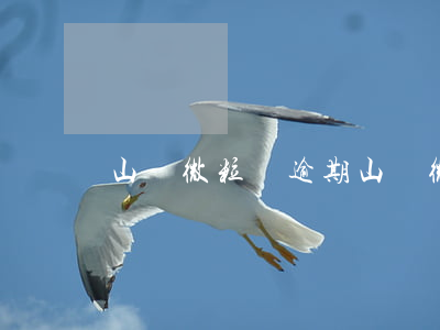 山東微粒貸逾期 山東微粒貸逾期