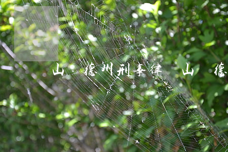 山東德州刑事律師(山東德州刑事律師)