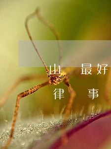 山東最好的律師事務(wù)所(山東最好的律師事務(wù)所排名)