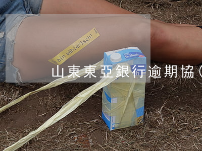 山東東亞銀行逾期協(xié)商還款技巧