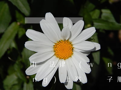 山東法律網(wǎng)(山東法律網(wǎng)上咨詢電子服務(wù)平臺(tái))