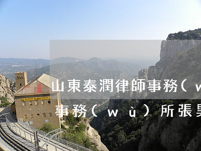 山東泰潤律師事務(wù)所(山東泰潤律師事務(wù)所張昊鈺)