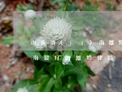 山東濟(jì)南離婚律師(山東濟(jì)南最好的離婚律師)