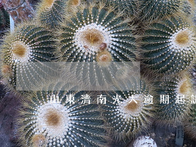 山東濟南光大逾期起訴(光大逾期一個月)