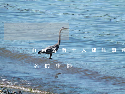 山東濟南十大律師事務(wù)所(濟南最有名的律師)