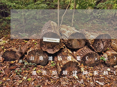 山東濰坊專業(yè)的婚姻律師哪個厲害(濰坊婚姻律師事務(wù)所)