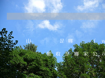 山東煙臺是哪個網(wǎng)貸催收(山東煙臺催收是哪家公司)