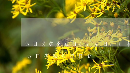山東省安全生產(chǎn)事故死亡賠償(山東省死亡賠償金)