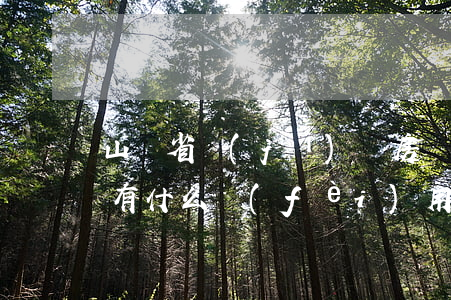 山東省濟(jì)寧房產(chǎn)繼承有什么費(fèi)用(房產(chǎn)繼承類費(fèi)用大概需要多少)