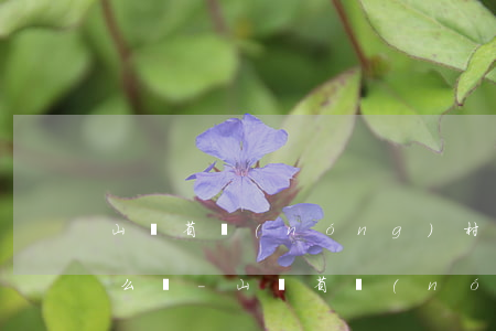 山東省農(nóng)村信用社還款逾期怎么辦-山東省農(nóng)村信用社還款逾期怎么辦理