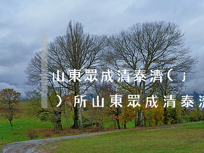山東眾成清泰(濟(jì)南)律師事務(wù)所(山東眾成清泰(濟(jì)南)律師事務(wù)所張欽博)