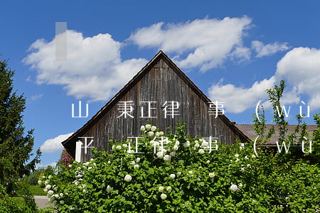 山東秉正律師事務(wù)所是真的嗎(山東平與正律師事務(wù)所)