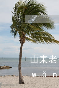 山東老哥欠網(wǎng)貸視頻(山東網(wǎng)貸事件)