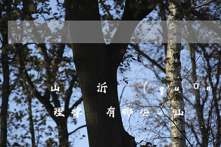 山東臨沂債權(quán)債務(wù)清理律師有哪些-山東臨沂債權(quán)債務(wù)清理律師有哪些公司