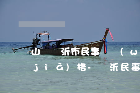山東臨沂市民事債務(wù)糾紛律師價(jià)格-臨沂民事訴訟律師