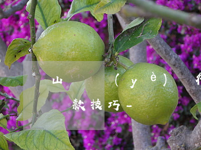山東興業(yè)銀行逾期協(xié)商還款技巧-
