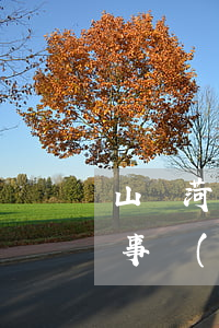 山東菏澤律師事務(wù)所(山東菏澤律師事務(wù)所的咨詢電話)