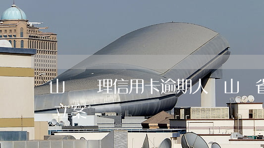 山東處理信用卡逾期人員(山東省信用卡詐騙立案標準)