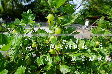 山東貸款逾期被起訴后還能協(xié)商嗎-山東貸款逾期被起訴后還能協(xié)商嗎知乎