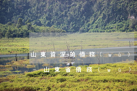山東資深的債務(wù)糾紛律師咨詢電話-山東省債務(wù)糾紛律師收費(fèi)標(biāo)準(zhǔn)和方式