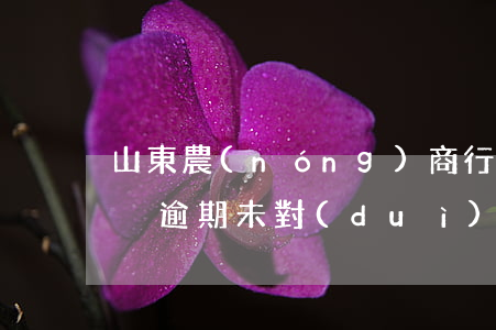 山東農(nóng)商行對(duì)公賬戶逾期未對(duì)賬-