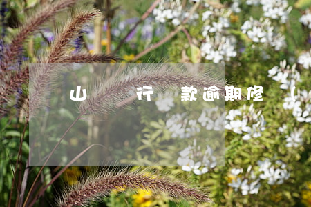 山東銀行貸款逾期修復(fù)