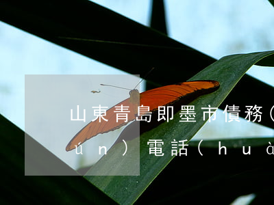 山東青島即墨市債務(wù)律師咨詢(xún)電話(huà)-山東青島即墨市債務(wù)律師咨詢(xún)電話(huà)號(hào)碼多少