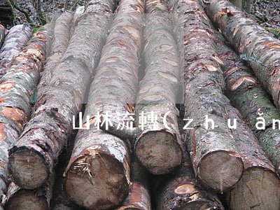 山林流轉(zhuǎn)合同