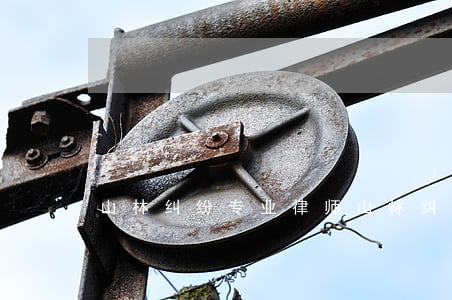 山林纠纷专业律师(山林纠纷找哪个部门解决) 山林纠纷专业律师(山林纠纷找哪个部门解决)