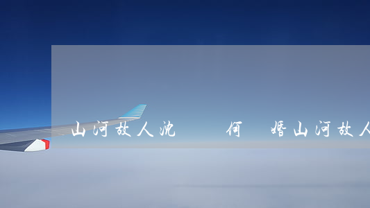 山河故人沈濤為何離婚(山河故人女主角趙濤)